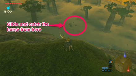 Zelda BOTW - Glide and Catch the Black Horse