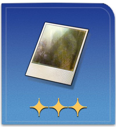 Cycrane Surveillance Images