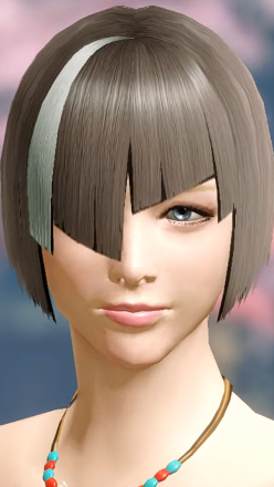 MH Rise Sunbreak - Asymmetric Cut