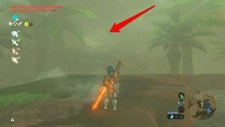 BOTW Riola Spring Cave