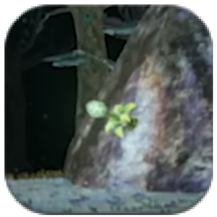 Tears of the Kingdom - Bulb-Like Plant + Arrow