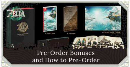 Zelda preorder best sale