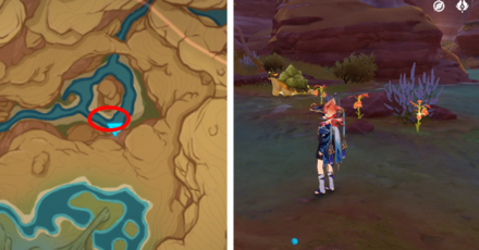 Genshin - Mourning Flower Locations - 2 to 4