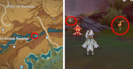Genshin - Mourning Flower Locations - 14 to 15