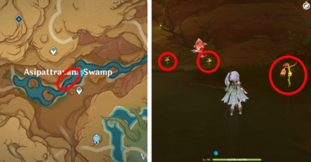Genshin - Mourning Flower Locations - 19 to 21