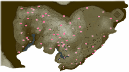 Hebra Korok Seeds Map