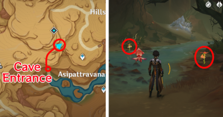 Genshin - Mourning Flower Locations - 23 to 24