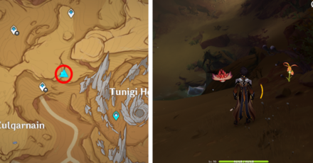Genshin - Mourning Flower Locations - 43