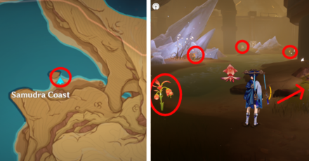 Genshin - Mourning Flower Locations - 32 to 36