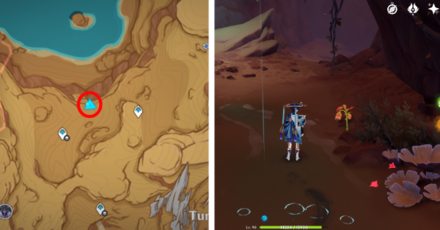 Genshin - Mourning Flower Locations - 42