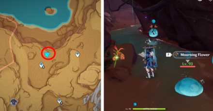 Genshin - Mourning Flower Locations - 40 to 41