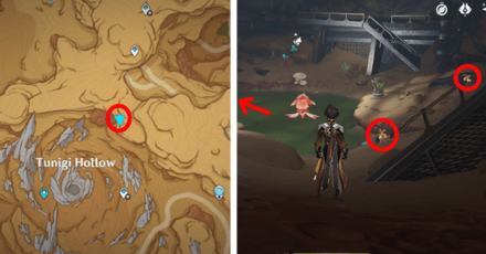 Genshin - Mourning Flower Locations - 50 to 52