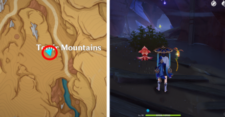 Genshin - Mourning Flower Locations - 59