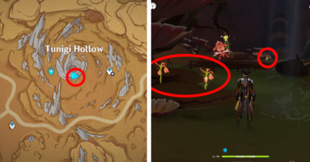 Genshin - Mourning Flower Locations - 47 to 49