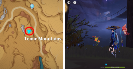 Genshin - Mourning Flower Locations - 58