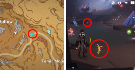 Genshin - Mourning Flower Locations - 55 to 56