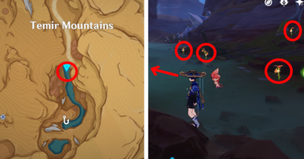 Genshin - Mourning Flower Locations - 60 to 67