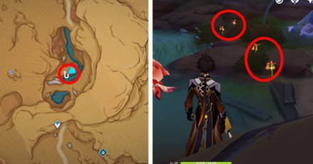 Genshin - Mourning Flower Locations - 71 to 74