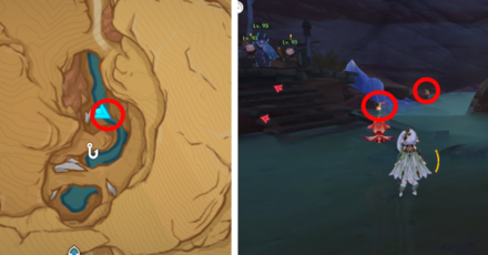 Genshin - Mourning Flower Locations - 68 to 69