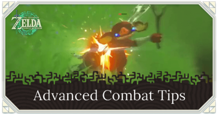 Tears of the Kingdom - Advanced Combat Tips