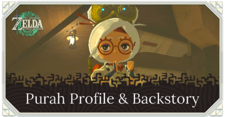 Zelda TotK - Purah Profile and Backstory