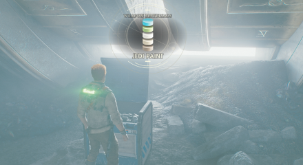 Fallen Order - Jedi Paint In Game Image