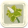 Genshin Impact Herbal Remedies Event Info - Ingredient