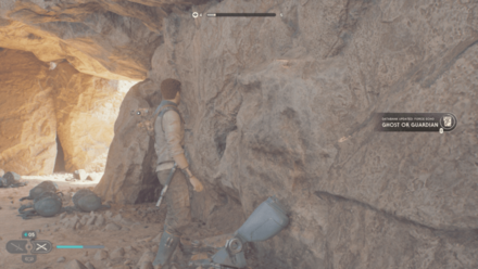 Fallen Order - Ghost or Guardian In Game Image