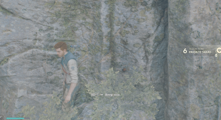 Fallen Order - Priorite Shard In Game Image