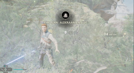 Fallen Order - Pine Fern In Game Image