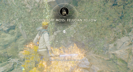 Fallen Order - Goldenlight Moss In Game Image