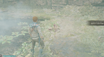 Fallen Order - Nekko Scratches In Game Image