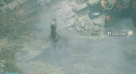 Fallen Order - Priorite Shard In Game Image