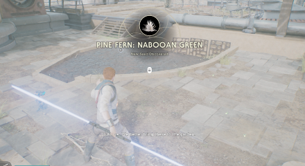 Fallen Order - Pine Fern In Game Image