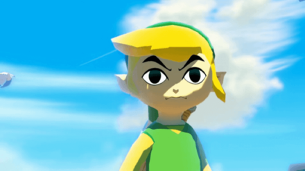 Tears of the Kingdom - Link Wind Waker