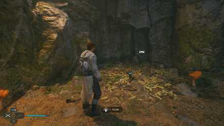 Fallen Order - Gorocco Nest In Game Image