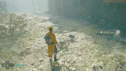 Fallen Order - Priorite Shard In Game Image