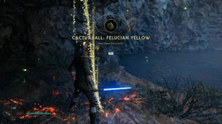 Fallen Order - Cactus Ball In Game Image