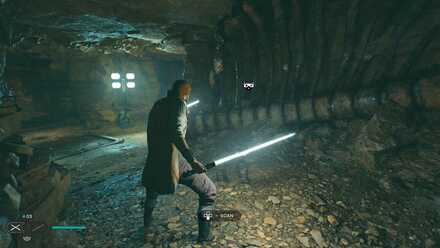 Fallen Order - Massive Ribcage In Game Image