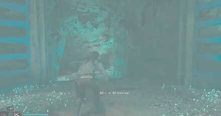 Cave Path Under Zip Point Phon