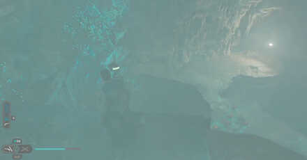 Jump Down Left of the Exploding Plant Phon