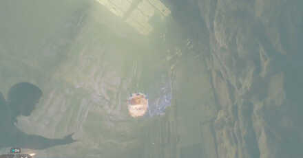 Throw Another Exploding Plant Phon