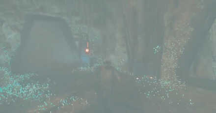 Unlock Red Terminal Door Phon