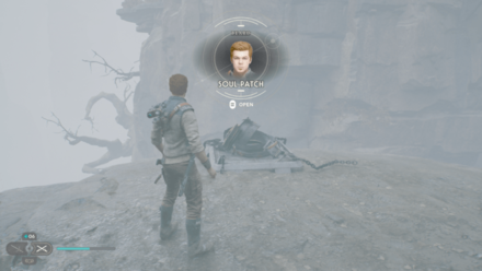 Fallen Order - Soul Patch In Game Image