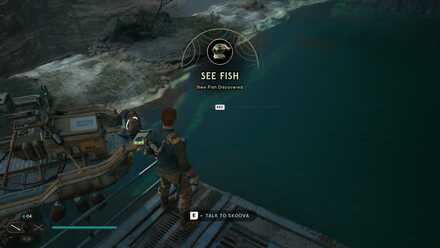 See Fish - World View.jpg