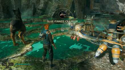 Blue Finned Crayfish - World View