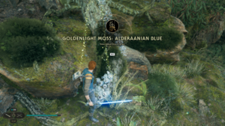 Fallen Order - Goldenlight Moss In Game Image