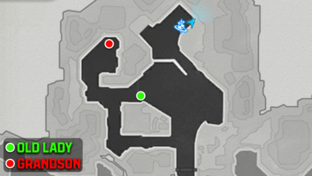 Honkai Star Rail - Grandson and Old Lady