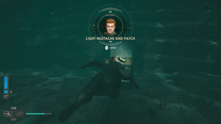 Fallen Order - Light Mustache and Patch In Game Image