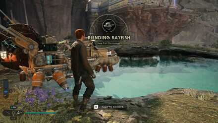 Blinding Rayfish In-Game